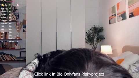 riskyproject