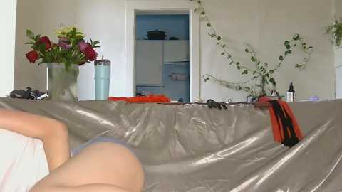 angelknight22