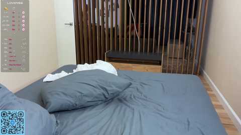 skyeveil @ chaturbate on 20250625