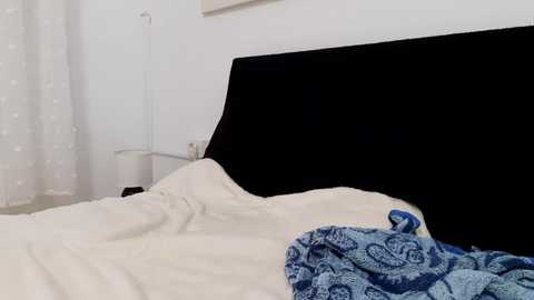 apollobest77 @ chaturbate on 20250630