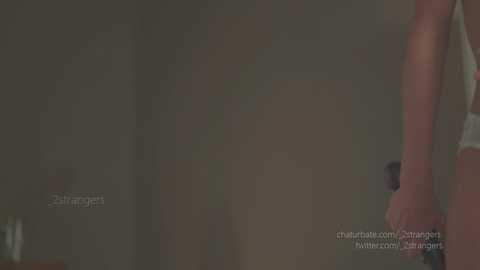 _2strangers @ chaturbate on 20250702