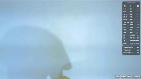 litlle_flowers @ chaturbate on 20250712