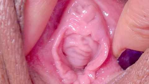 horny_moly