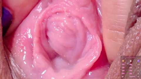 horny_moly