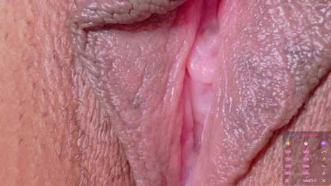 horny_moly