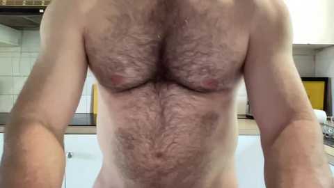 aussiemuscledad @ chaturbate on 20250728