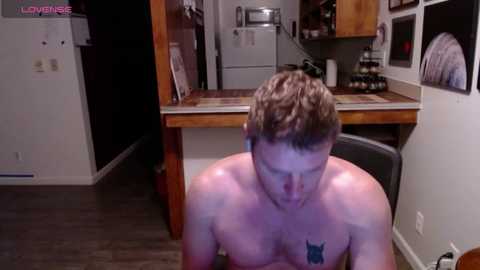 david_dixon2025 @ chaturbate on 20250731