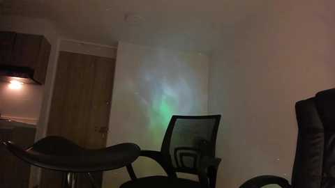 mikeyvioleta @ chaturbate on 20250802