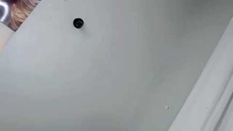 forget_me_not69 @ chaturbate on 20250803