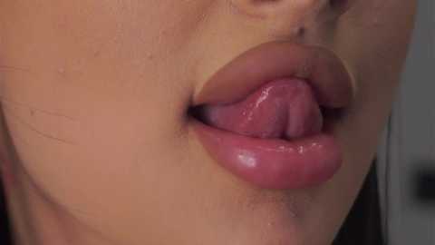 loracopple @ chaturbate on 20250803