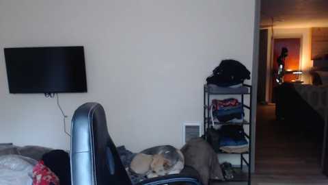 oregon87 @ chaturbate on 20250804