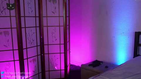 thatcouplejx @ chaturbate on 20250806