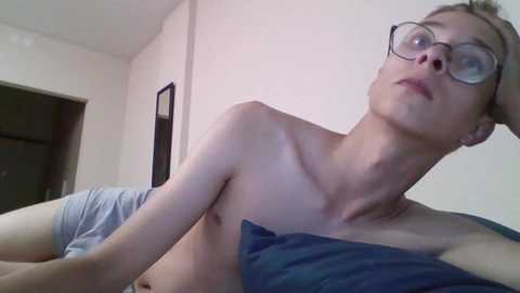 glasses_cat