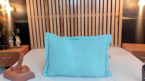 arya_nahalii @ chaturbate on 20250810