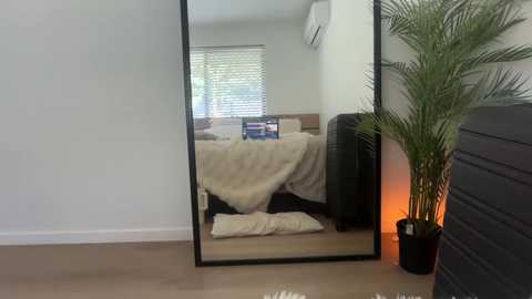 novamills @ chaturbate on 20250813