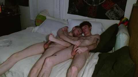 stepbros_try_stuff @ chaturbate on 20250815