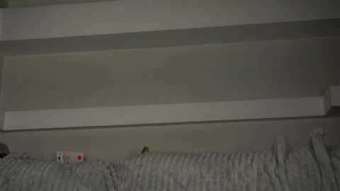 zeldaes @ chaturbate on 20250815