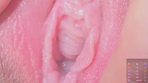 horny_moly
