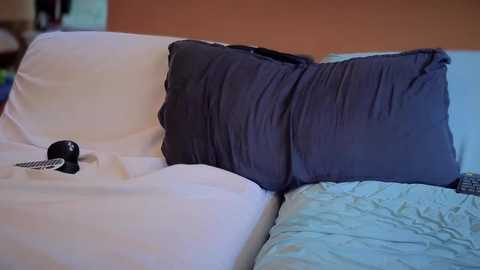 tattooed_love_boy @ chaturbate on 20250819
