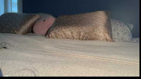 andreaelizabethxo @ chaturbate on 20250820