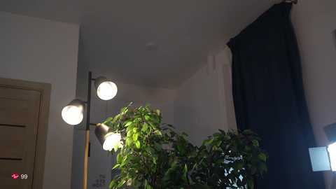 veronica_sland