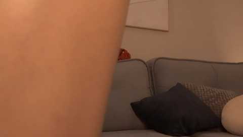 qwelbi