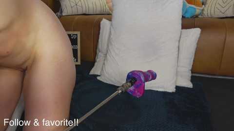 taylor_love_303