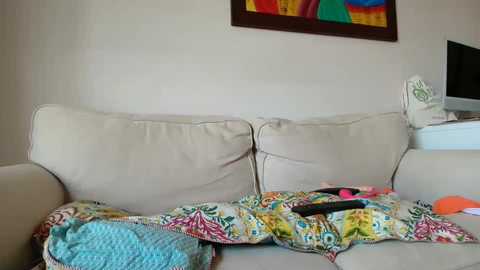 palaustudio