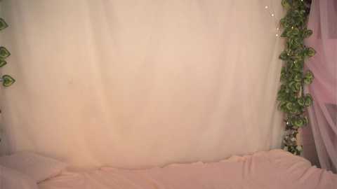 cutie_cookiee @ chaturbate on 20250823
