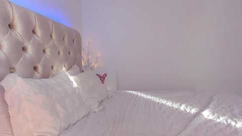 dee_nise @ chaturbate on 20250823