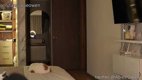 abie_owen