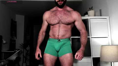 cockheadstud