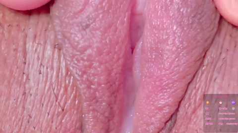 horny_moly