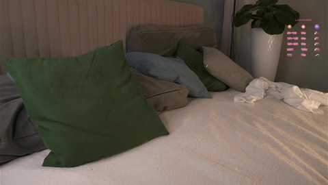 shickshackshock @ chaturbate on 20250824