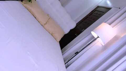 sophiaarmani @ chaturbate on 20250825