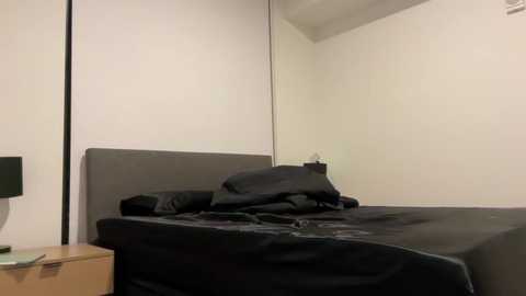 imrubyy @ chaturbate on 20250829