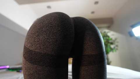 veronica_sland