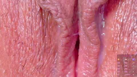 horny_moly