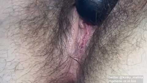 kinky_malina