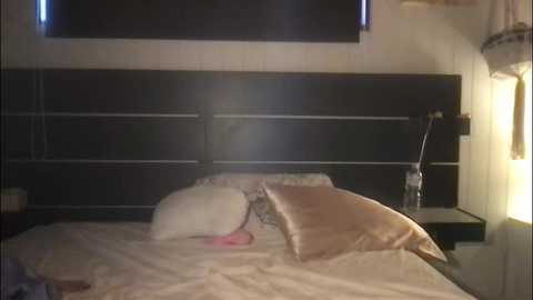 sweet_shariiii @ chaturbate on 20250903