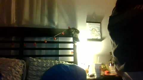 shadoe_slut @ chaturbate on 20250904