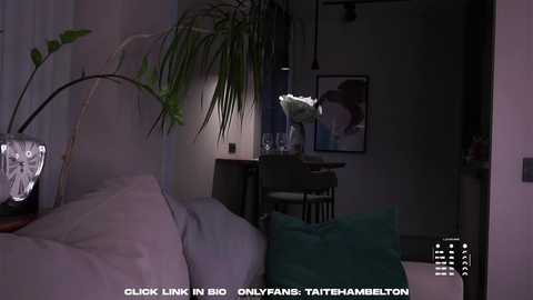 taitehambelton