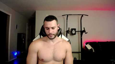 alpha_dominus_king