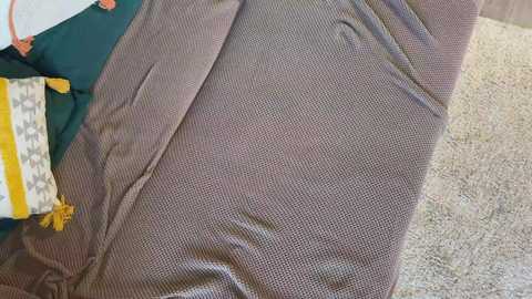 twixsex @ chaturbate on 20250906