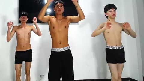 gnecos