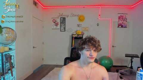 thejohnnystone