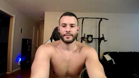 alpha_dominus_king