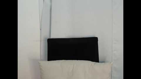 lady____a @ chaturbate on 20250908