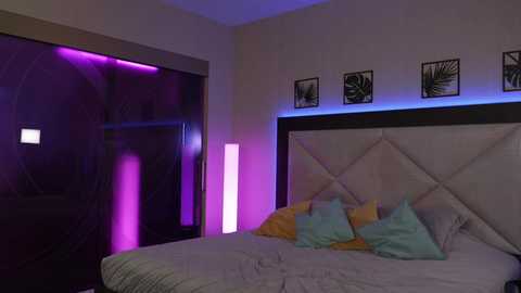 dreamgogo