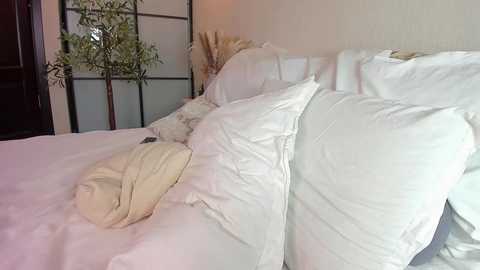 roxxana227